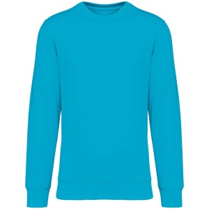 Native Spirit Drifter pulver, Light Turquoise (pulver)