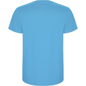 Roly Stafford frfi pamutpl, Turquois (T-shirt, pl, 90-100% pamut)